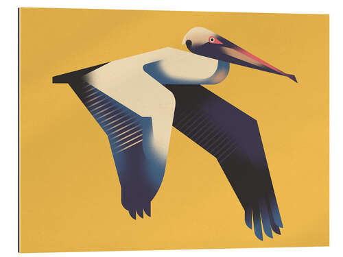 Gallery print Pelican