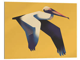 Tableau en plexi-alu Pelican