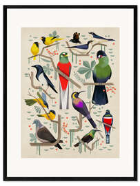 Framed art print Birds