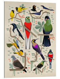 Gallery print Birds