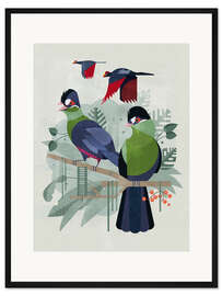 Gerahmter Kunstdruck Turakos