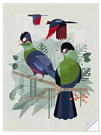 Selvklebende plakat Turacos