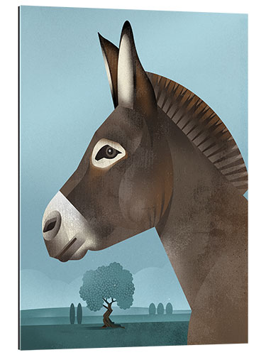 Gallery print Domestic Donkey