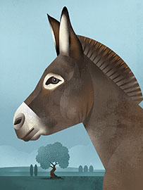 Magnettafel Zwergesel