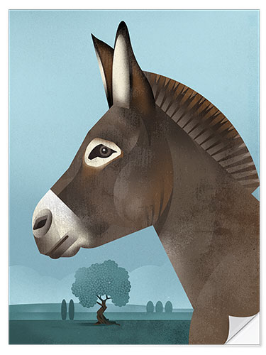 Selvklæbende plakat Domestic Donkey