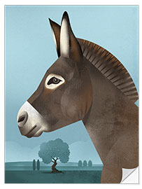 Selvklebende plakat Domestic Donkey