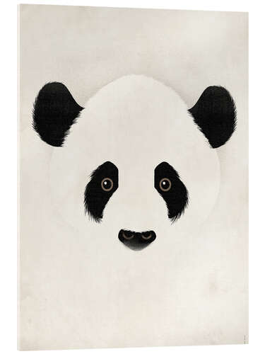 Acrylglasbild Panda