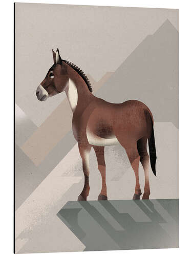 Aluminium print Wild Horse