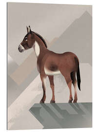 Gallery print Wild Horse