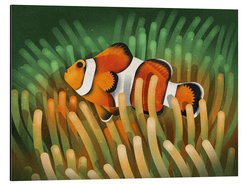 Aluminiumsbilde Clownfish