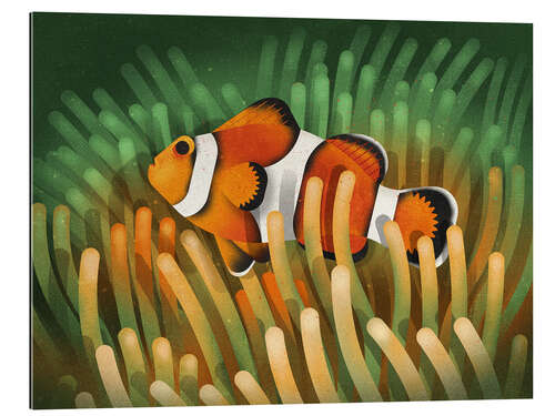 Galleriataulu Clownfish