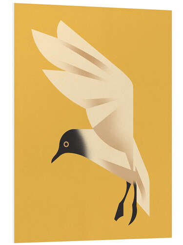 Quadro em PVC Black-headed Gull