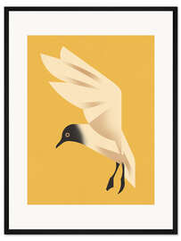 Gerahmter Kunstdruck Lachmöwe