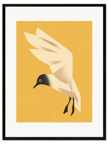 Framed art print Black-headed Gull