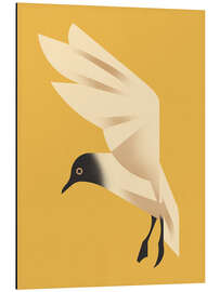 Magnettafel Lachmöwe