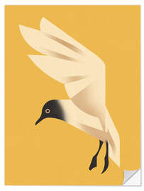 Sticker mural Black-headed Gull