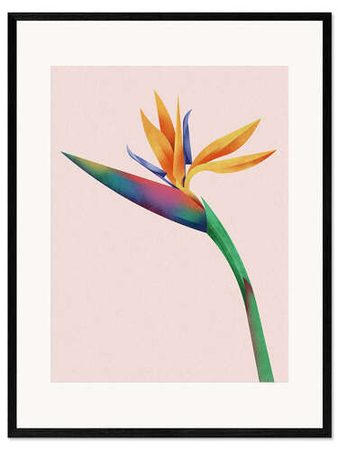Plakat artystyczny premium w ramie Strelitzia