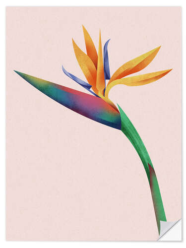 Wall sticker Strelitzia