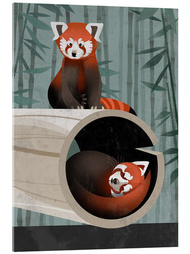 Akrylglastavla Red Panda