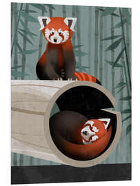 Tableau en PVC Red Panda - Dieter Braun