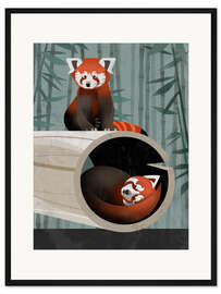 Gerahmter Kunstdruck Roter Panda