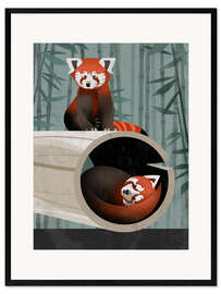 Gerahmter Kunstdruck Roter Panda