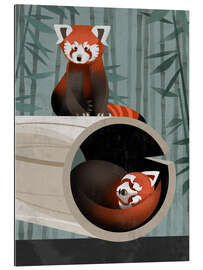 Cuadro de plexi-alu Red Panda