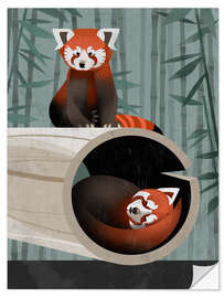 Självhäftande poster Red Panda - Dieter Braun