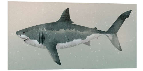 Hartschaumbild Megalodon