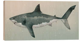 Wood print Megalodon