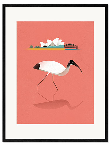 Kehystetty taidepainatus Ibis
