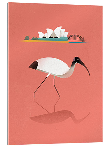 Gallery print Ibis