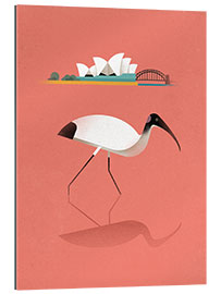 Gallery Print Ibis