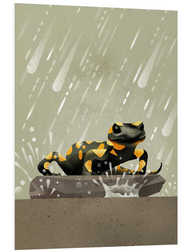 Foam board print Fire Salamander