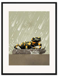 Gerahmter Kunstdruck Feuersalamander