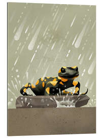 Gallery Print Feuersalamander