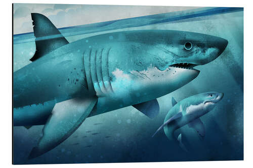 Aluminium print White Shark