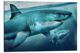 Quadro em alumínio White Shark