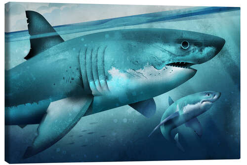 Canvas print White Shark