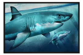Gerahmter Kunstdruck Weißer Hai