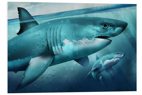 Foam board print White Shark