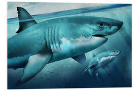 Foam board print White Shark