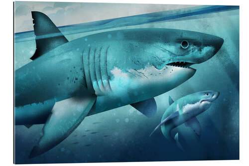 Gallery print White Shark