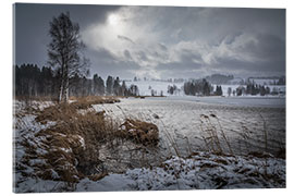 Acrylglasbild Stürmischer Wintertag am Ufer des Bayersoiener Sees, Bayern