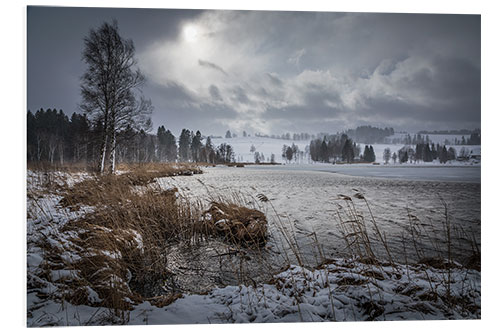 Foam board print Stormy Winter Day on the Shore of Bayersoiener See, Bavaria