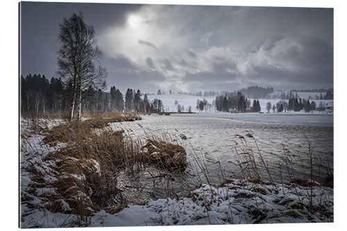 Galleritryk Stormy Winter Day on the Shore of Bayersoiener See, Bavaria