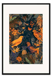 Gerahmter Kunstdruck Parrots Midnight Paradise