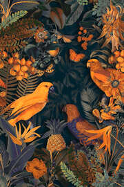 Magnettafel Parrots Midnight Paradise