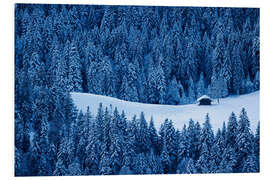 Foam board print Farmhouse in the Snow in Emmental, Switzerland