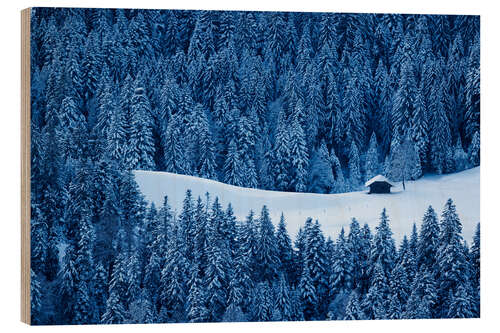 Puutaulu Farmhouse in the Snow in Emmental, Switzerland